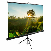 Экран Cactus TriExpert CS-PSTE-200x200-BK, 200x200 см, 1:1, напольный, черный за 17 122 ₽. Экраны проекционные.  Доставка по РФ. Без переплат!