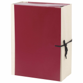 Папка для бумаг архивная А4 (225х310 мм), 120 мм, 4 завязки, бумвинил, корешок - коленкор, 123201 за 270 ₽. Папки картонные с завязками.  Доставка по РФ. Без переплат!