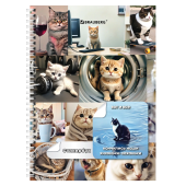 Стикербук ПРОСТО НАКЛЕЙ А6, 16 листов, 96 цветных стикеров, на гребне, BRAUBERG, "Коты мемы", 666050 за 179 ₽. Наклейки для творчества.  Доставка по РФ. Без переплат!