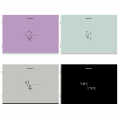 Альбом для рисования А4, 40 листов, скоба, обложка картон, BRAUBERG, 203х288 мм, "МИНИМАЛ" (4 вида), 107116 за 80 ₽. Альбомы и папки для рисования.  Доставка по РФ. Без переплат!