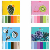 Тетрадь А5, 80 л., HATBER гребень, клетка, обложка картон, "Color Set" (4 вида в спайке), 80Т5В1гр за 60 ₽. Тетради более 60 листов.  Доставка по РФ. Без переплат!