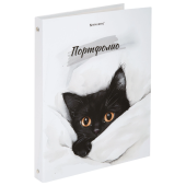 Папка-портфолио универсальная, 4 кольца, 20 файлов, 7БЦ матовая, BRAUBERG "Cat", 107557, 117557 за 359 ₽. Портфолио.  Доставка по РФ. Без переплат!