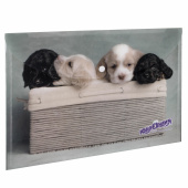 Папка-конверт с кнопкой ЮНЛАНДИЯ "Щенки", А4, 160 мкм, до 100 листов, цветная печать, 228050 за 39 ₽. Папки-конверты с кнопкой.  Доставка по РФ. Без переплат!