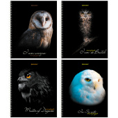 Тетрадь А5 96 л. BRAUBERG, гребень, клетка, твёрдая обложка, "Совы" (микс в спайке), 404443 за 147 ₽. Тетради более 60 листов.  Доставка по РФ. Без переплат!