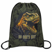 Мешок для обуви BRAUBERG PREMIUM, карман, подкладка, светоотражайка, 43х33 см, Dino attack, 272424 за 803 ₽. Мешки для обуви.  Доставка по РФ. Без переплат!