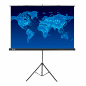 Экран Cactus Triscreen CS-PST-150x150, 150x150 см, 1:1, напольный, черный за 13 552 ₽. Экраны проекционные.  Доставка по РФ. Без переплат!