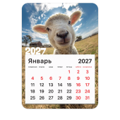 Календарь отрывной на магните на 2027 г., BRAUBERG, 130x180 мм, склейка, "Символ года", 118484 за 55 ₽. Календари настенные.  Доставка по РФ. Без переплат!