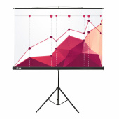 Экран Cactus Triscreen CS-PST-180x180, 180x180 см, 1:1, напольный, черный за 14 266 ₽. Экраны проекционные.  Доставка по РФ. Без переплат!