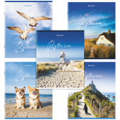 Тетрадь А5, 80 л., BRAUBERG, скоба, клетка, обложка картон, "By the Sea", 404410 за 62 ₽. Тетради более 60 листов.  Доставка по РФ. Без переплат!