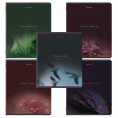 Тетрадь А5, 48 л., BRAUBERG, скоба, клетка, SoftTouch, "Peaceful", (микс в спайке), 405327 за 55 ₽. Тетради 40-48 листов.  Доставка по РФ. Без переплат!