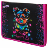 Папка для труда на молнии ЮНЛАНДИЯ А4, 1 отделение, откидная планка, органайзер, "True friend", 272221 за 170 ₽. Папки для тетрадей и уроков труда.  Доставка по РФ. Без переплат!