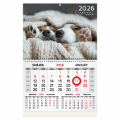 Календарь квартальный 2026 г., 1 блок, 1 гребень, магнитный курсор, мелованная бумага, BRAUBERG, "Носики", 116922 за 274 ₽. Календари настенные.  Доставка по РФ. Без переплат!