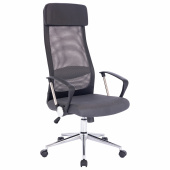 Кресло офисное BRABIX "Flight R EX-541", хром, ткань TW, сетка, черное/серое, 532518 за 12&nbsp;663 ₽. Кресла для руководителей.  Доставка по РФ. Без переплат!