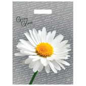 Пакет с вырубной ручкой ПВД, 43х31,5 см, "Грэй Глосс Ромашка", 50 мкм, н00269304 за 14 ₽. Пакеты с петлевой и вырубной ручкой.  Доставка по РФ. Без переплат!