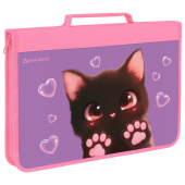 Папка на молнии BRAUBERG А4 с ручкой, с органайзером, 1 отделение, "Paw prints", 273383 за 393 ₽. Папки для тетрадей и уроков труда.  Доставка по РФ. Без переплат!
