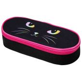 Пенал-футляр BRAUBERG, 1 отделение, органайзер, полиэстер, 22x9x5 см, "Cat eye", 271585 за 481 ₽. Пеналы мягкие.  Доставка по РФ. Без переплат!