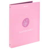 Папка-портфолио универсальная, 4 кольца, 20 файлов, 7БЦ матовая, BRAUBERG, "Gentle", 117558 за 342 ₽. Портфолио.  Доставка по РФ. Без переплат!