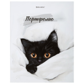 Папка-портфолио универсальная, 4 кольца, 20 файлов, 7БЦ матовая, BRAUBERG "Cat", 107557, 117557 за 342 ₽. Портфолио.  Доставка по РФ. Без переплат!