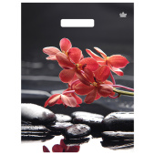 Пакет с вырубной ручкой ПВД ламинированный, 40х31 см, "Гармония", 60 мкм, н00268708 за 19 ₽. Пакеты с петлевой и вырубной ручкой.  Доставка по РФ. Без переплат!