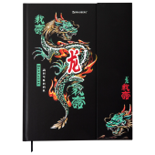 Дневник 1-11 класс 48 л., твердый, BRAUBERG, матовая ламинация, магнитный клапан, закладка-ляссе, с подсказом, "Дракон", 107245 за 177 ₽. Дневники универсальные.  Доставка по РФ. Без переплат!