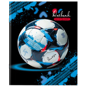 Дневник 1-11 класс 40 л., на скобе, ПИФАГОР, обложка картон, "Футбол", 107136 за 40 ₽. Дневники универсальные.  Доставка по РФ. Без переплат!