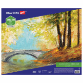Холст на картоне BRAUBERG ART CLASSIC, 50*60см, грунтованный, 100% хлопок, мелкое зерно, 190623 за 455 ₽. Холсты на картоне.  Доставка по РФ. Без переплат!