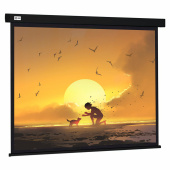 Экран Cactus Wallscreen CS-PSW-150X150-BK, 150x150 см, 1:1, настенно-потолочный, черный, PSW-150x150-BK за 7 126 ₽. Экраны проекционные.  Доставка по РФ. Без переплат!