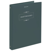 Папка-портфолио универсальная, 4 кольца, 20 файлов, 7БЦ матовая, BRAUBERG "Classic", 117554 за 342 ₽. Портфолио.  Доставка по РФ. Без переплат!