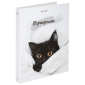 Папка-портфолио универсальная, 4 кольца, 20 файлов, 7БЦ матовая, BRAUBERG "Cat", 107557, 117557 за 359 ₽. Портфолио.  Доставка по РФ. Без переплат!