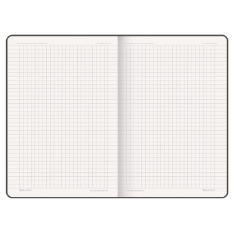 Блокнот А5 (162х218 мм), BRAUBERG "NOTE", под кожу софт-тач, с резинкой, 80 л., клетка, красный, 113439 за 484 ₽. Бизнес-блокноты и бизнес-тетради. Доставка по России. Без переплат!