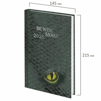 Ежедневник датированный 2025 145х215 мм, А5, STAFF, ламинированная обложка, "Snake", 116022 за 59 ₽. Ежедневники с твердой обложкой. Доставка по России. Без переплат!
