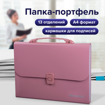 Папка-портфель пластиковая BRAUBERG А4 (327х254х30 мм), 13 отделений, розовая, 221441 за 709 ₽. Портфели пластиковые. Доставка по России. Без переплат!
