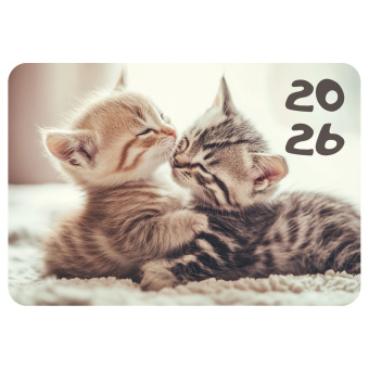 Календарь карманный на 2026 г, BRAUBERG, 64х93 мм, АССОРТИ №2, 20 видов, 117304 за 5 ₽. Календари карманные. Доставка по России. Без переплат!
