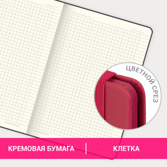 Блокнот А5 (148х218 мм), BRAUBERG "DUO", под кожу с резинкой 80 л., клетка, красный/бирюзовый, 113431 за 178 ₽. Бизнес-блокноты и бизнес-тетради. Доставка по России. Без переплат!