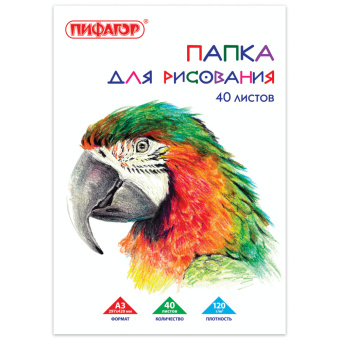 Папка для рисования БОЛЬШОГО ФОРМАТА А3, 40 л., 120 г/м2, ПИФАГОР, 297х420 мм, "Попугай", 129219 за 236 ₽. Альбомы и папки для рисования. Доставка по России. Без переплат!