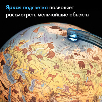 Глобус интерактивный + очки VR, зоогеографический, GLOBEN, 25см, с подсветкой, INT12500306 за 1&nbsp;656 ₽. Глобусы. Доставка по России. Без переплат!