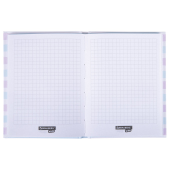 Блокнот МАЛЫЙ ФОРМАТ (110х147 мм), А6, 80 л., твёрдый, клетка, выборочный лак, BRAUBERG KIDS, "Queen", 114450 за 100 ₽. Блокноты в книжном переплете. Доставка по России. Без переплат!