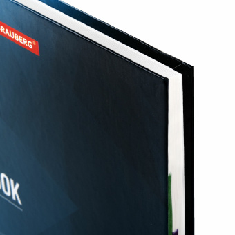 Блокнот БОЛЬШОЙ ФОРМАТ (215х295 мм) А4, 128 л., твердый, клетка, блок 4 цвета, BRAUBERG, "Бизнес", 111593 за 470 ₽. Блокноты в книжном переплете. Доставка по России. Без переплат!