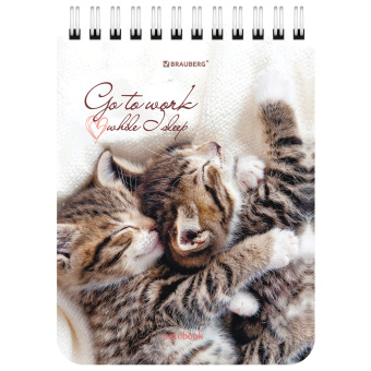 Блокнот МАЛЫЙ ФОРМАТ А6 108х145 мм, 40 л., гребень, картон, клетка, BRAUBERG, "Милые котята", 114391 за 30 ₽. Блокноты. Доставка по России. Без переплат!