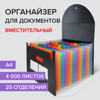 Папка-органайзер для бумаг и документов на резинке, 25 отделений, BRAUBERG DOCS, А4, черная, 271151 за 809 ₽. Папки пластиковые с отделениями. Доставка по России. Без переплат!