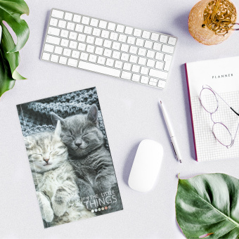 Блокнот А5 (134х206 мм), 80 л., твёрдый, клетка, STAFF, "Котики", 114413 за 83 ₽. Блокноты в книжном переплете. Доставка по России. Без переплат!