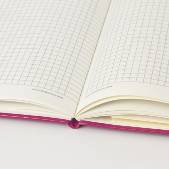 Блокнот А5 (148x218 мм), BRAUBERG "Metropolis", балакрон, 80 л., резинка, клетка, фуксия, 111587 за 421 ₽. Бизнес-блокноты и бизнес-тетради. Доставка по России. Без переплат!