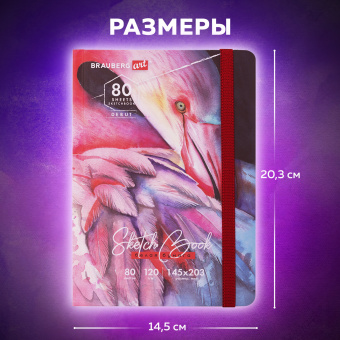 Скетчбук, белая бумага 120 г/м2, 145х203 мм, 80 л., резинка, твердый, BRAUBERG ART DEBUT "Фламинго", 114584 за 155 ₽. Альбомы, скетчбуки и бумага для графики и эскизов. Доставка по России. Без переплат!