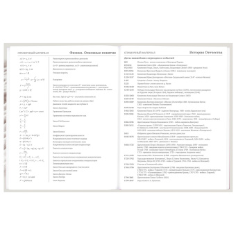 Дневник 5-11 класс 48 л., твердый, BRAUBERG, глянцевая ламинация, с подсказом, "Котик", 107188 за 96 ₽. Дневники для старших классов. Доставка по России. Без переплат!