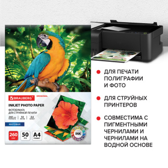 Фотобумага матовая, А4, 260 г/м2, односторонняя, 50 листов, BRAUBERG ORIGINAL, 363993 за 499 ₽. Фотобумага. Доставка по России. Без переплат!