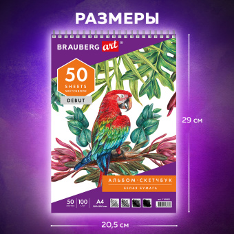 Скетчбук, белая бумага 100 г/м2, 205х290 мм, 50 л., гребень, жёсткая подложка, BRAUBERG ART DEBUT, 110983 за 88 ₽. Альбомы, скетчбуки и бумага для графики и эскизов. Доставка по России. Без переплат!