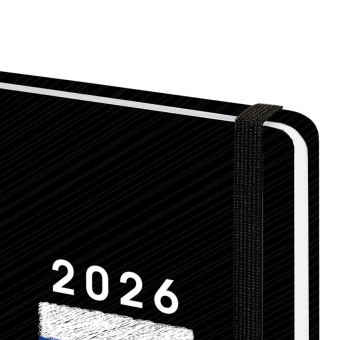 Ежедневник датированный 2026 с резинкой 145х203 мм, А5, BRAUBERG, твердый, "Россия", 117332 за 266 ₽. Ежедневники с твердой обложкой. Доставка по России. Без переплат!