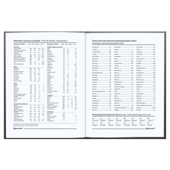 Блокнот МАЛЫЙ ФОРМАТ 110х147 мм, А6, 80 л., твердый, клетка, выборочный лак, BRAUBERG, "Город", 123246 за 105 ₽. Блокноты в книжном переплете. Доставка по России. Без переплат!