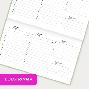 Еженедельник недатированный с резинкой 171х93 мм, BRAUBERG, твердый, 64 л., "Minimal", зеленый, 116314 за 155 ₽. Планинги. Доставка по России. Без переплат!