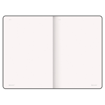 Блокнот-скетчбук А5 (130х210 мм), BRAUBERG ULTRA, балакрон, 80 г/м2, 96 л., без линовки, бирюзовый, 113050 за 235 ₽. Бизнес-блокноты и бизнес-тетради. Доставка по России. Без переплат!